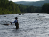 Angler Concentrating on her Fly Casting